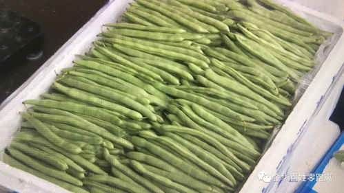 蔬菜批发市场观察 农产品价格普遍下降趋势分析