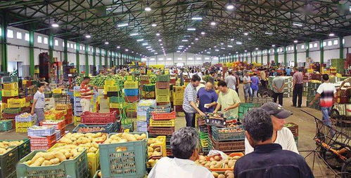丹吉尔开设现代化果蔬批发市场，助力蔬菜产业升级