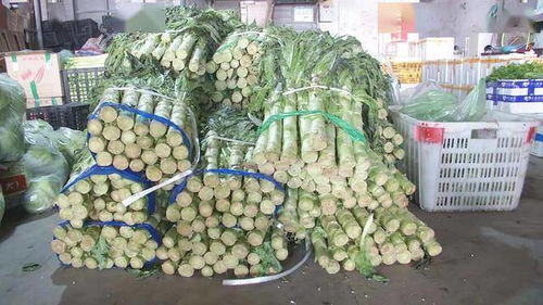 春节保供稳价，蔬菜批发护航“菜篮子”稳定