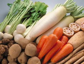 农业创业 选对模式是关键，附3月27日广州江南市场蔬菜批发行情