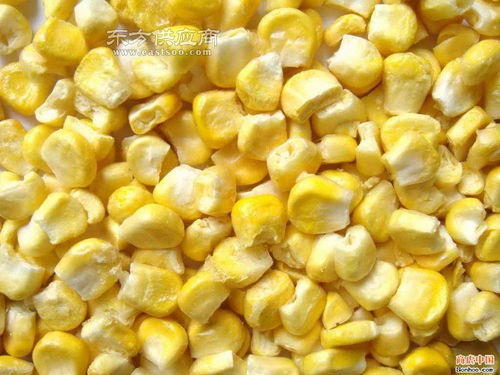脱水玉米与脱水蔬菜厂家直销——琦轩食品，优质蔬菜批发首选