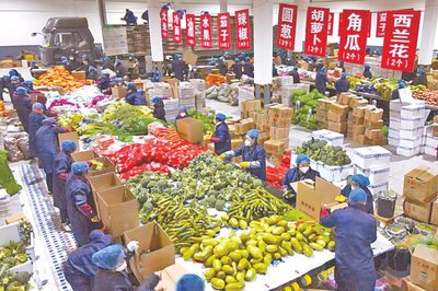 吉林: 蔬菜“打包”记