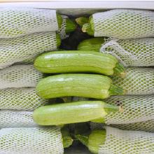 有机蔬菜市场全解析 从种植源头到批发采购的完整指南