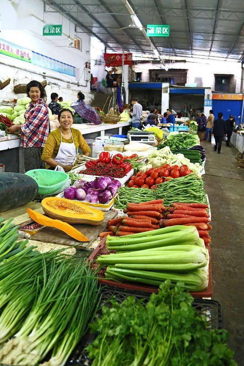 菜市场，最抚凡人心