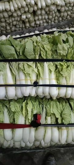 福田区梅林工厂蔬菜配送专家 探访厦令赢蔬菜配送的批发之道