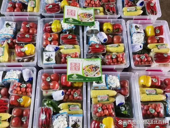 西安礼品蔬菜批发与蔬菜礼盒厂家的深度解析
