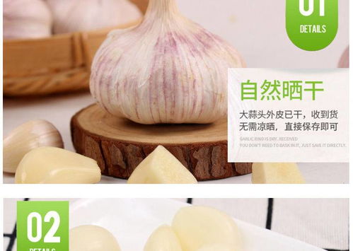 山东金乡紫皮新大蒜 从田园到餐桌的共享美味