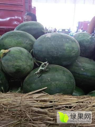 2017年7月24日河北永年龙卷风对蔬菜批发价格的影响分析