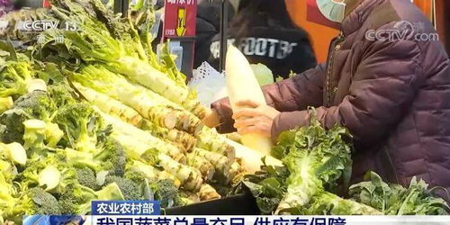 我国蔬菜总量充足，供应有保障，价格将呈季节性回落