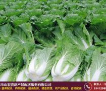 福建果蔬配送公司推荐 专业批发配送生鲜蔬菜的优质选择