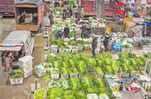 春節蔬菜供應充足，批發市場備貨迎高峰